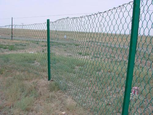 1550128927130231.jpg 1.6.jpg