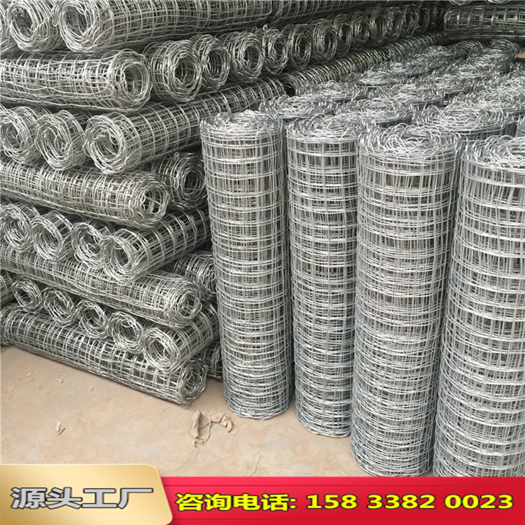 運城礦用經緯編織網圖片2