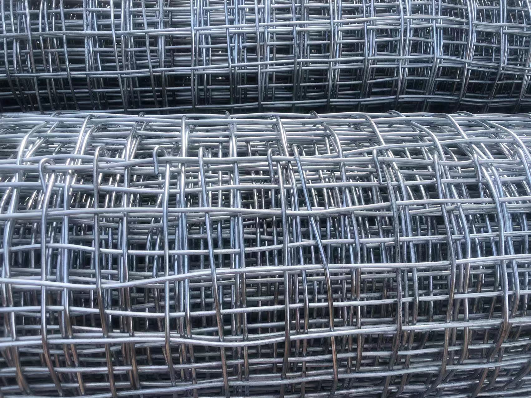 貴州煤礦井下用經緯形金屬網圖片2