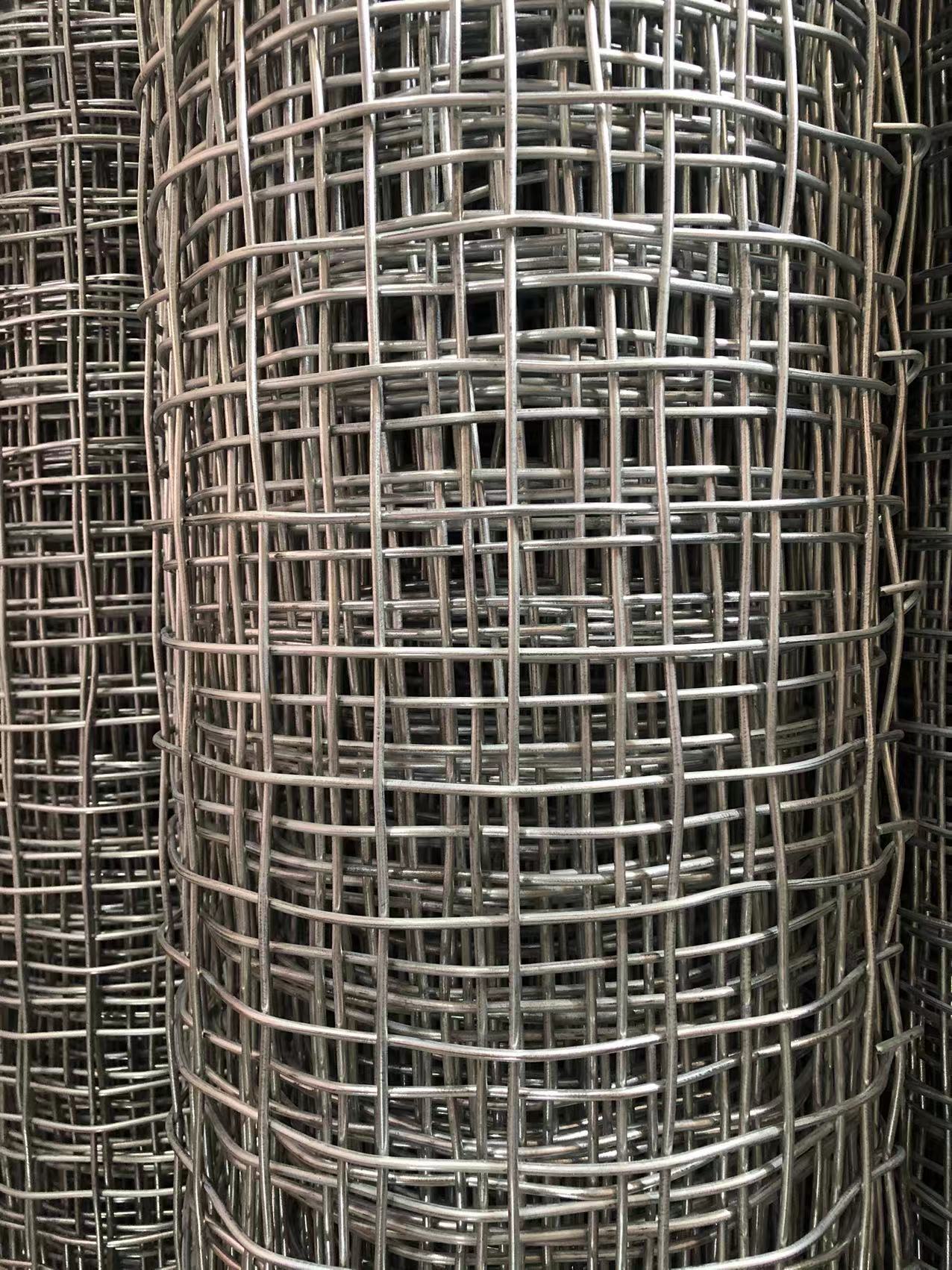 貴州煤礦井下用經緯形金屬網圖片4